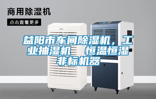 益陽(yáng)市車(chē)間除濕機(jī)，工業(yè)抽濕機(jī)  恒溫恒濕非標(biāo)機(jī)器