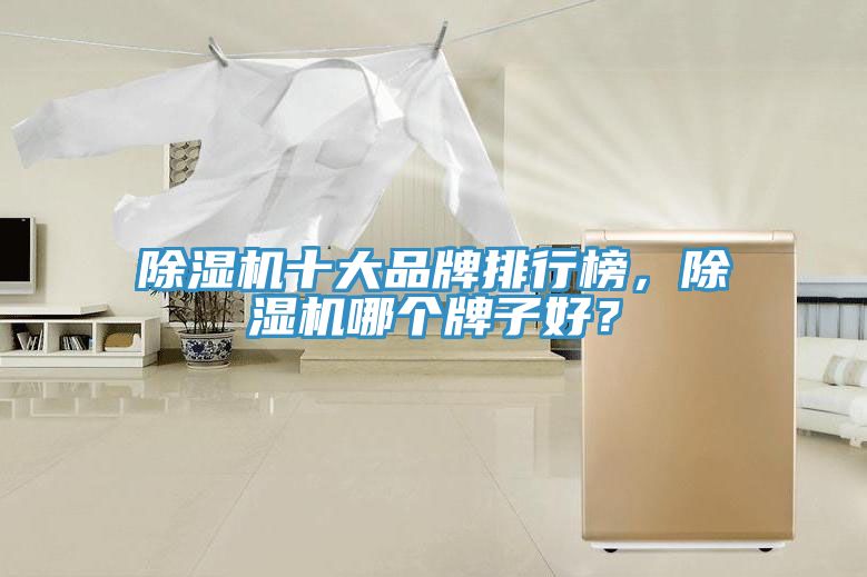 除濕機(jī)十大品牌排行榜，除濕機(jī)哪個(gè)牌子好？