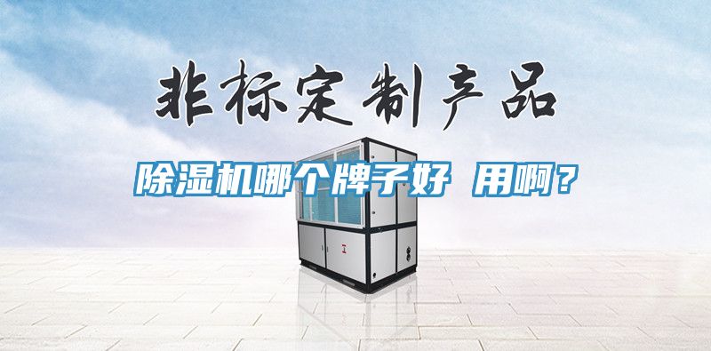 除濕機(jī)哪個(gè)牌子好 用??？