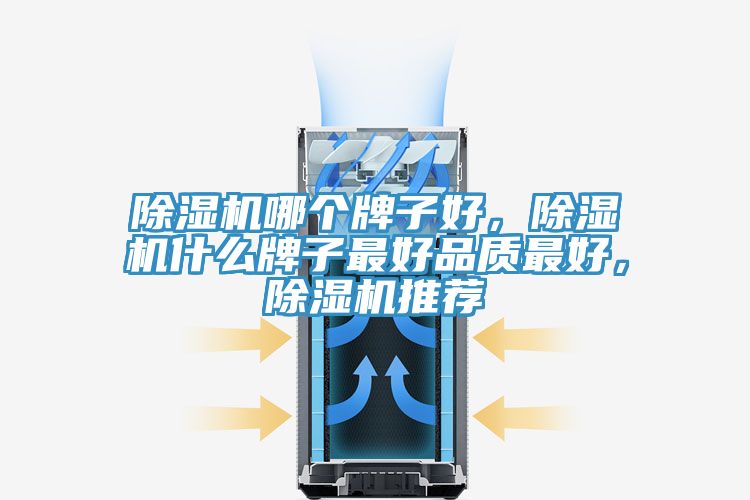 除濕機(jī)哪個(gè)牌子好，除濕機(jī)什么牌子最好品質(zhì)最好，除濕機(jī)推薦