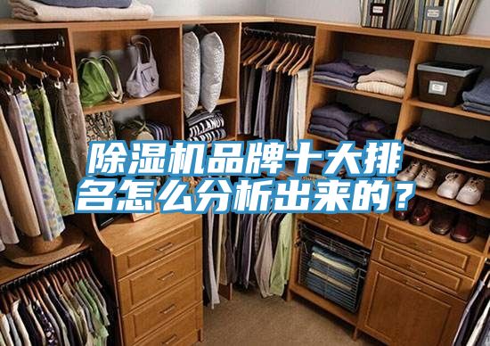 除濕機(jī)品牌十大排名怎么分析出來(lái)的？