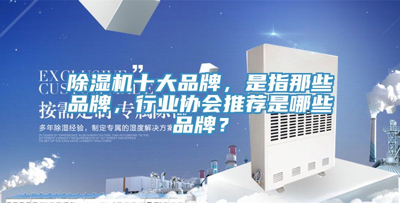 除濕機(jī)十大品牌，是指那些品牌，行業(yè)協(xié)會(huì)推薦是哪些品牌？