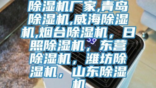 除濕機(jī)廠家,青島除濕機(jī),威海除濕機(jī),煙臺(tái)除濕機(jī)，日照除濕機(jī)，東營(yíng)除濕機(jī)，濰坊除濕機(jī)，山東除濕機(jī)