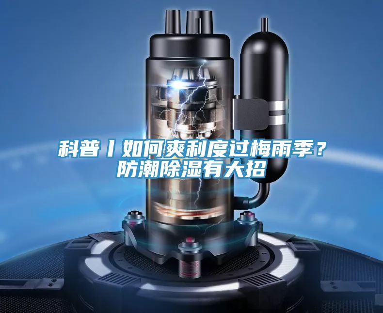 科普丨如何爽利度過梅雨季？防潮除濕有大招
