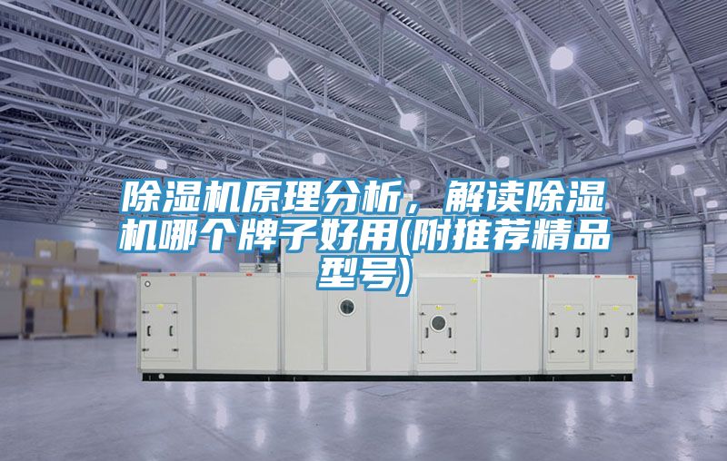 除濕機(jī)原理分析，解讀除濕機(jī)哪個(gè)牌子好用(附推薦精品型號(hào))