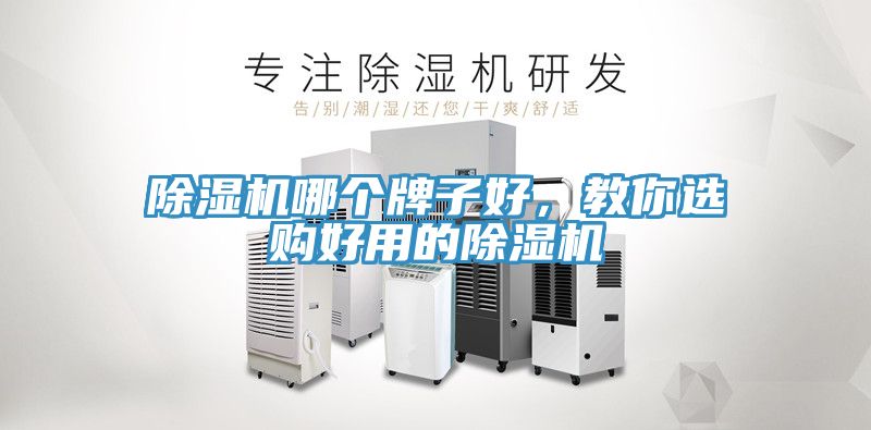 除濕機(jī)哪個(gè)牌子好，教你選購好用的除濕機(jī)