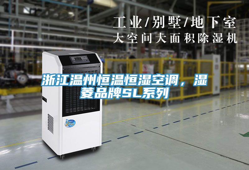 浙江溫州恒溫恒濕空調(diào)，濕菱品牌SL系列