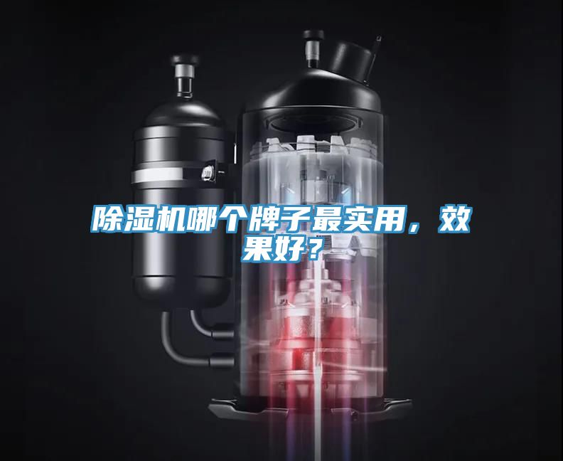 除濕機(jī)哪個(gè)牌子最實(shí)用，效果好？