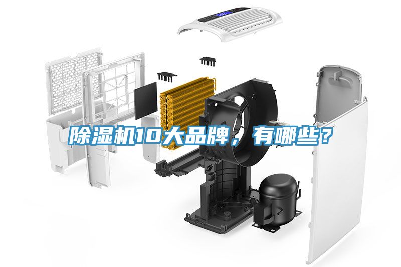 除濕機(jī)10大品牌，有哪些？