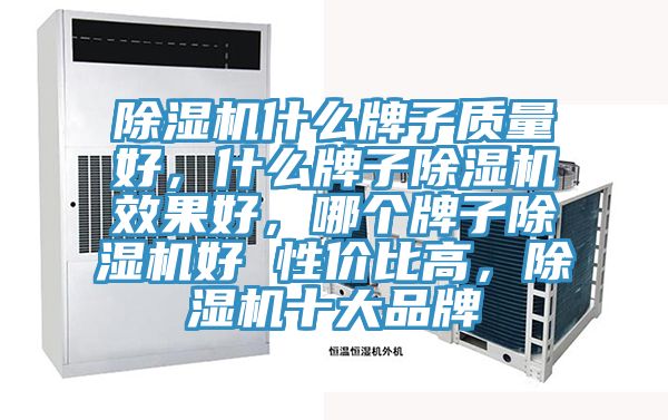 除濕機(jī)什么牌子質(zhì)量好，什么牌子除濕機(jī)效果好，哪個(gè)牌子除濕機(jī)好 性?xún)r(jià)比高，除濕機(jī)十大品牌