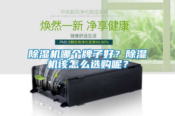除濕機(jī)哪個牌子好？除濕機(jī)該怎么選購呢？