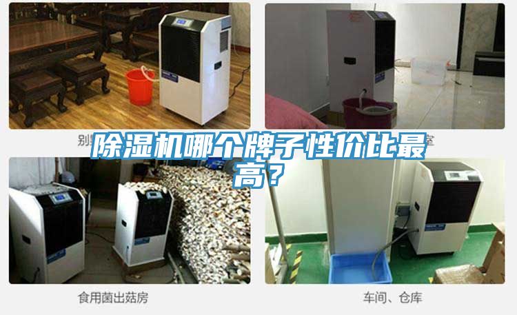 除濕機(jī)哪個(gè)牌子性價(jià)比最高？