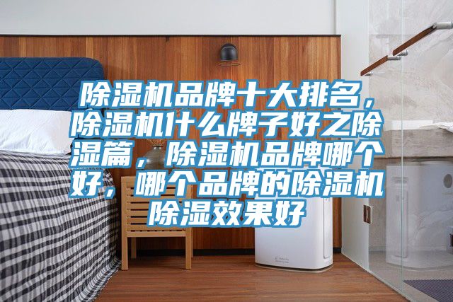 除濕機品牌十大排名，除濕機什么牌子好之除濕篇，除濕機品牌哪個好，哪個品牌的除濕機除濕效果好