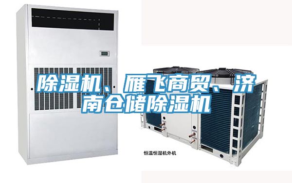 除濕機、雁飛商貿(mào)、濟南倉儲除濕機