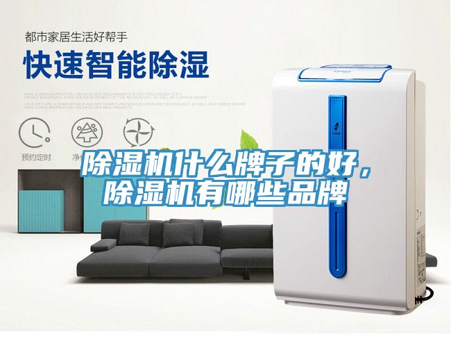 除濕機(jī)什么牌子的好，除濕機(jī)有哪些品牌