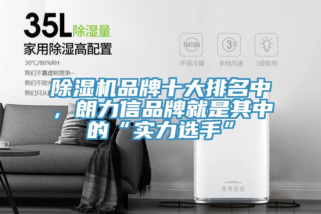 除濕機(jī)品牌十大排名中，朗力信品牌就是其中的“實(shí)力選手”