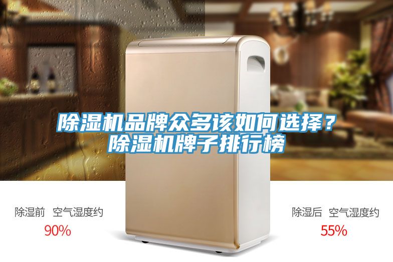 除濕機(jī)品牌眾多該如何選擇？除濕機(jī)牌子排行榜