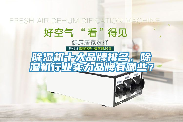 除濕機(jī)十大品牌排名，除濕機(jī)行業(yè)實(shí)力品牌有哪些？