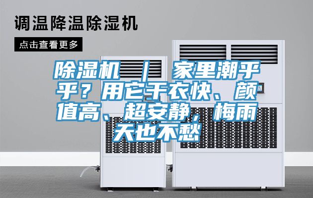 除濕機 ｜ 家里潮乎乎？用它干衣快、顏值高、超安靜，梅雨天也不愁