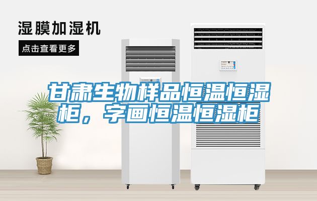 甘肅生物樣品恒溫恒濕柜，字畫(huà)恒溫恒濕柜