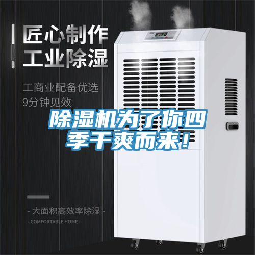 除濕機(jī)為了你四季干爽而來(lái)！