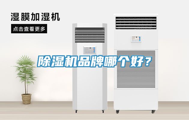 除濕機(jī)品牌哪個(gè)好？