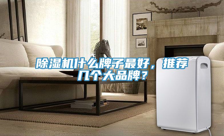 除濕機(jī)什么牌子最好，推薦幾個(gè)大品牌？