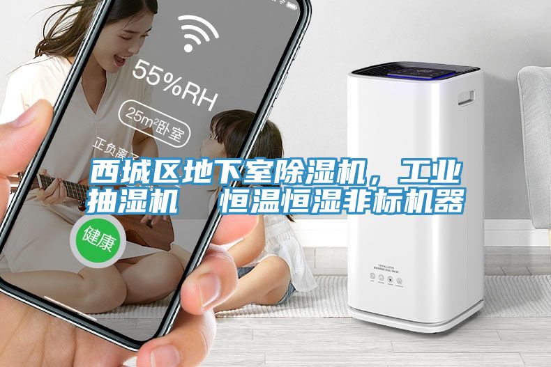 西城區(qū)地下室除濕機，工業(yè)抽濕機  恒溫恒濕非標機器