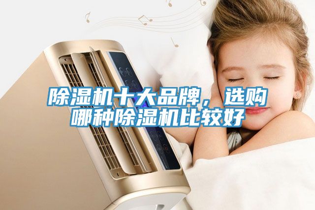 除濕機(jī)十大品牌，選購(gòu)哪種除濕機(jī)比較好