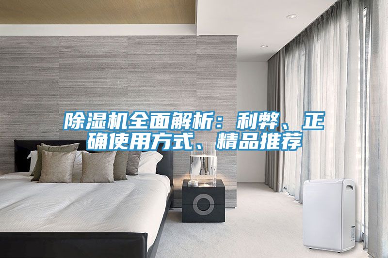 除濕機全面解析：利弊、正確使用方式、精品推薦