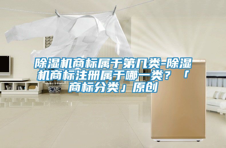 除濕機商標(biāo)屬于第幾類-除濕機商標(biāo)注冊屬于哪一類？「商標(biāo)分類」原創(chuàng)