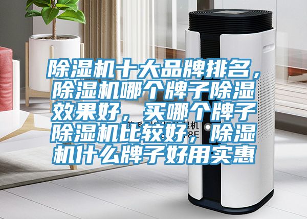 除濕機(jī)十大品牌排名，除濕機(jī)哪個(gè)牌子除濕效果好，買哪個(gè)牌子除濕機(jī)比較好，除濕機(jī)什么牌子好用實(shí)惠