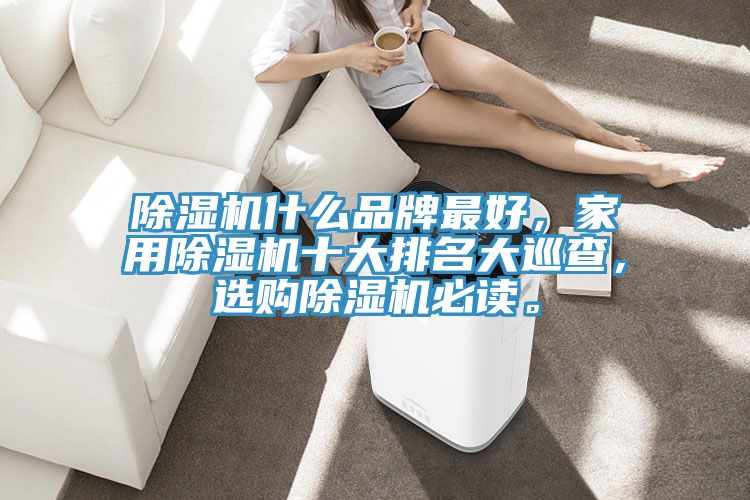 除濕機(jī)什么品牌最好，家用除濕機(jī)十大排名大巡查，選購(gòu)除濕機(jī)必讀。