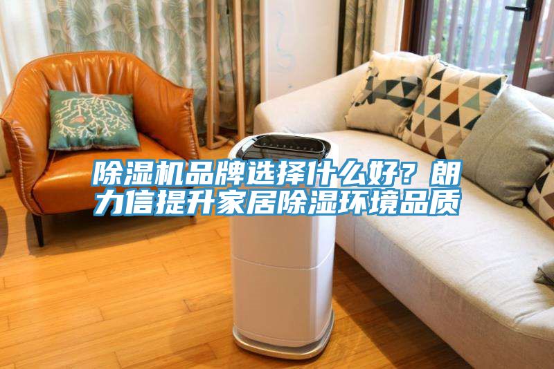 除濕機品牌選擇什么好？朗力信提升家居除濕環(huán)境品質