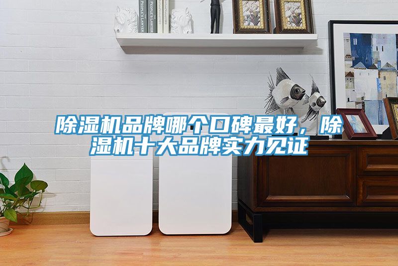 除濕機品牌哪個口碑最好，除濕機十大品牌實力見證