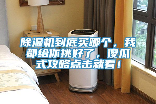 除濕機(jī)到底買哪個(gè)，我都給你挑好了，傻瓜式攻略點(diǎn)擊就看！