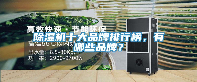 除濕機(jī)十大品牌排行榜，有哪些品牌？