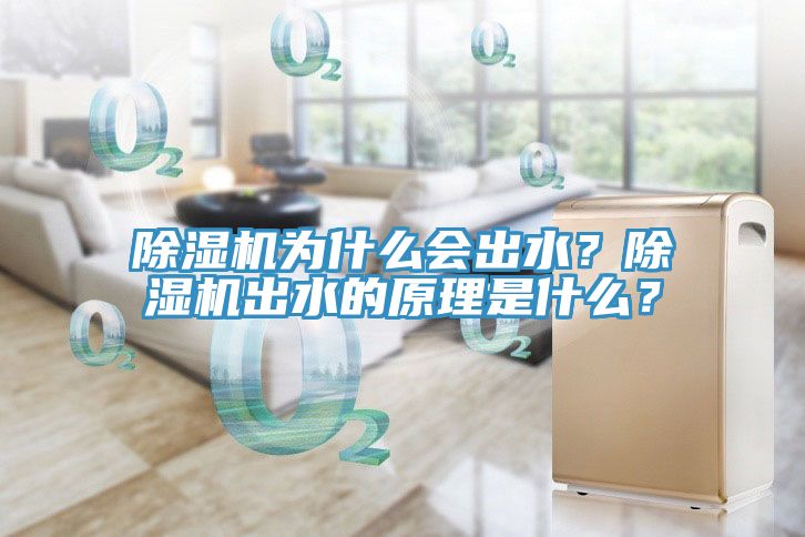 除濕機(jī)為什么會(huì)出水？除濕機(jī)出水的原理是什么？