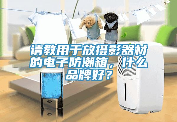 請(qǐng)教用于放攝影器材的電子防潮箱，什么品牌好？