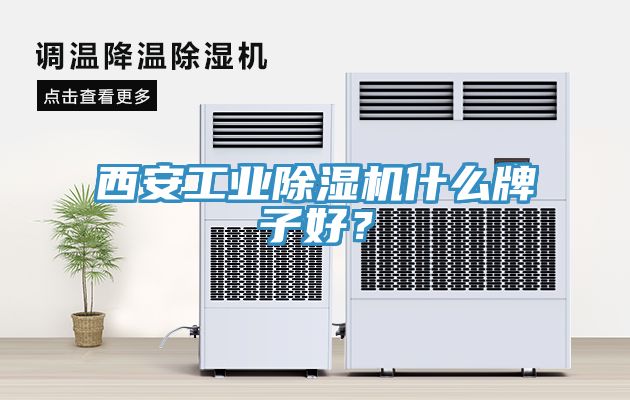 西安工業(yè)除濕機什么牌子好？