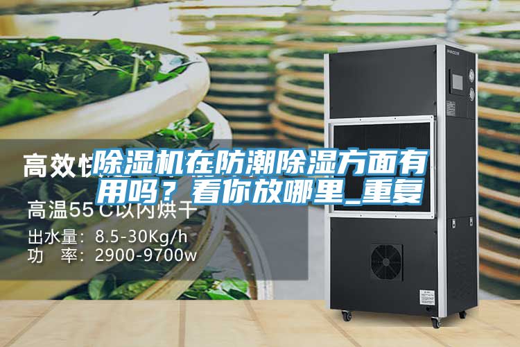 除濕機在防潮除濕方面有用嗎？看你放哪里_重復