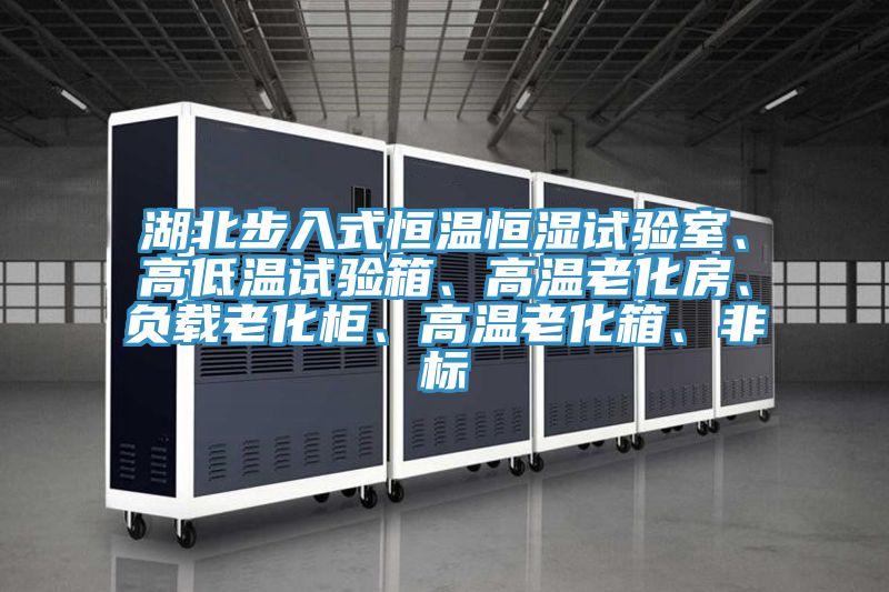 湖北步入式恒溫恒濕試驗(yàn)室、高低溫試驗(yàn)箱、高溫老化房、負(fù)載老化柜、高溫老化箱、非標(biāo)