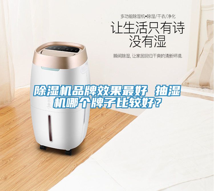 除濕機品牌效果最好 抽濕機哪個牌子比較好？