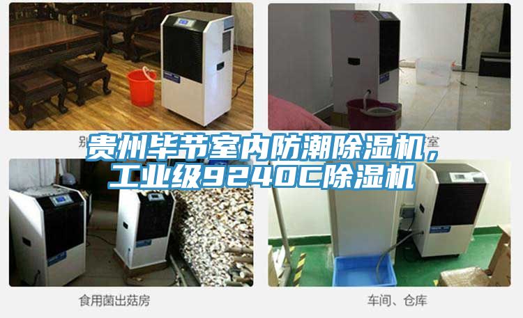 貴州畢節(jié)室內(nèi)防潮除濕機(jī)，工業(yè)級(jí)9240C除濕機(jī)