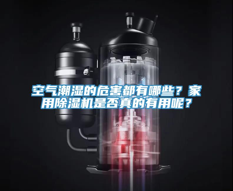 空氣潮濕的危害都有哪些？家用除濕機是否真的有用呢？