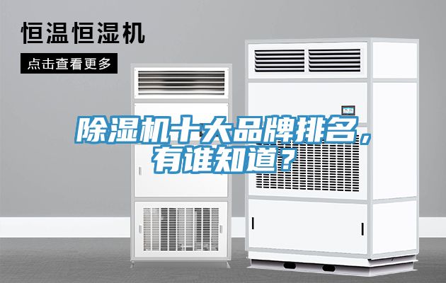 除濕機(jī)十大品牌排名，有誰(shuí)知道？