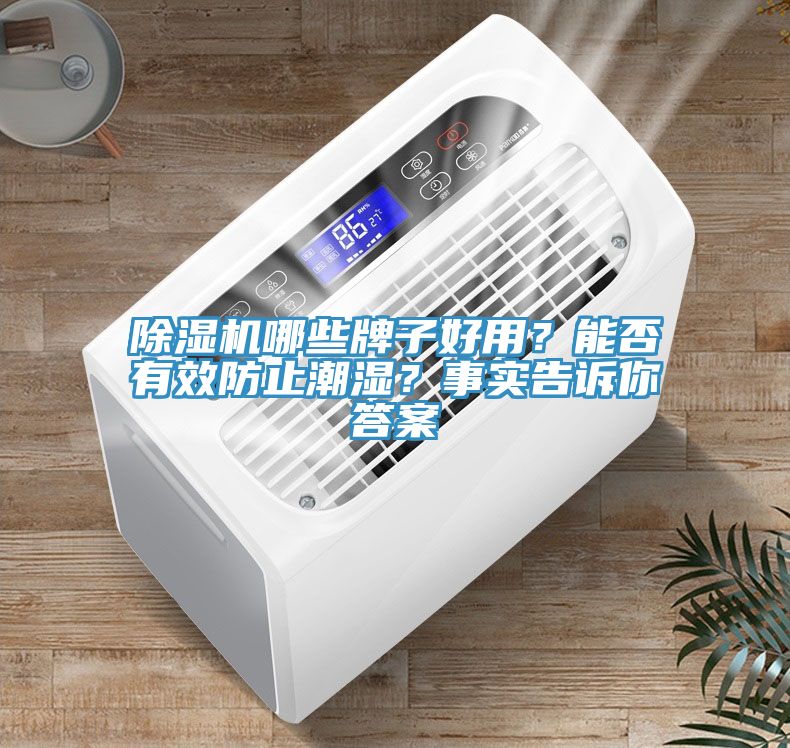 除濕機哪些牌子好用？能否有效防止潮濕？事實告訴你答案