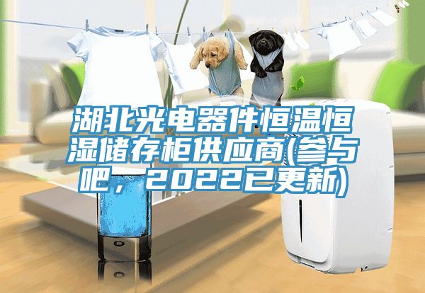 湖北光電器件恒溫恒濕儲(chǔ)存柜供應(yīng)商(參與吧，2022已更新)