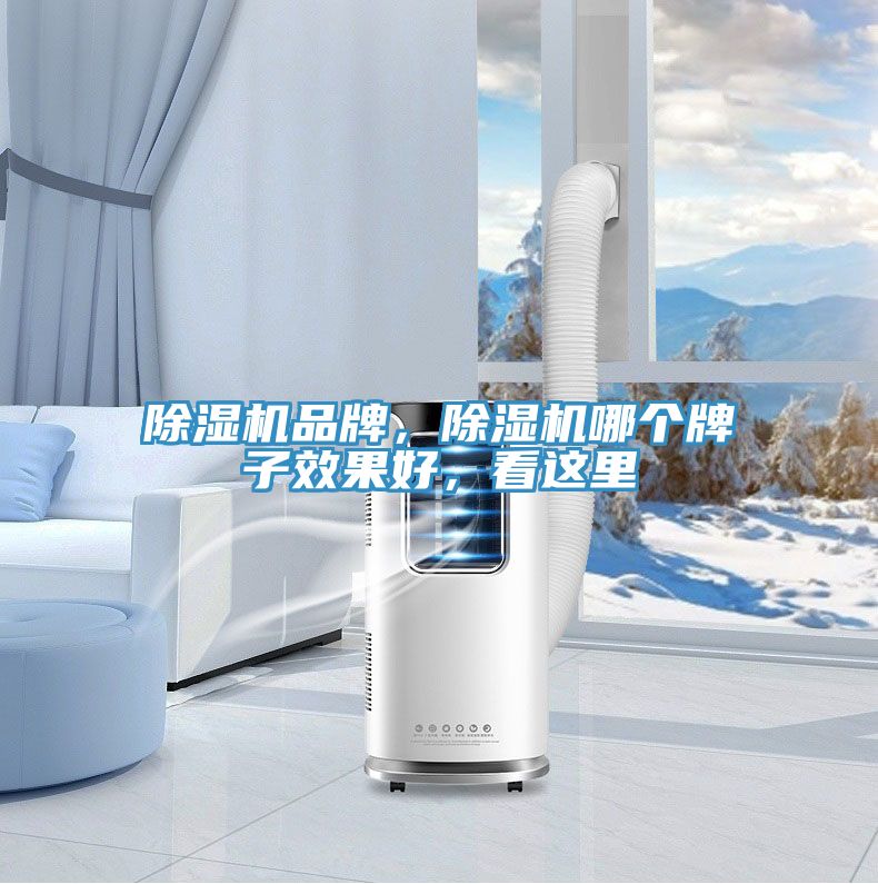 除濕機品牌，除濕機哪個牌子效果好，看這里