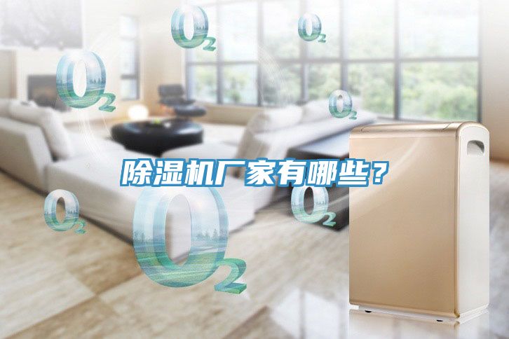除濕機(jī)廠家有哪些？